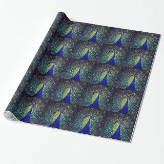 Cobalt Blue Peacock