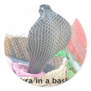 Cobra in Basket Art Print Classic Round Sticker