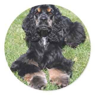 Cocker Spaniel Photo Classic Round Sticker