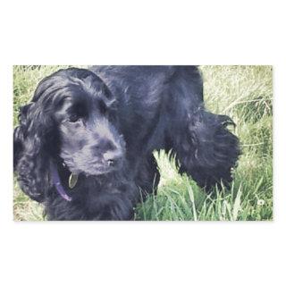 Cocker Spaniel Puppy Rectangular Sticker