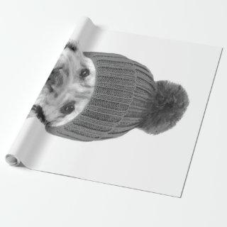 Cocker Spaniel Puppy Wearing Hat Photo