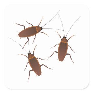 Cockroach Insect Square Sticker