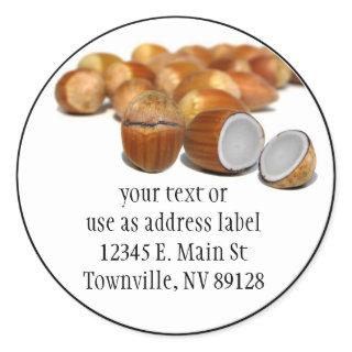 Coco Hazel Nut Classic Round Sticker