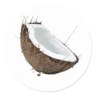 Coconut Classic Round Sticker
