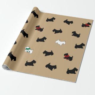 Coffee Color Scottish Terrier