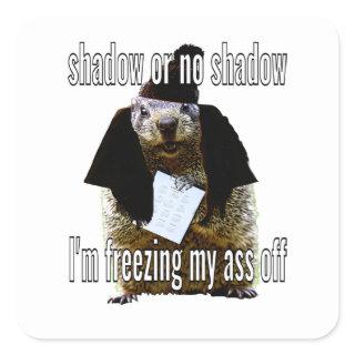 cold groundhog square sticker