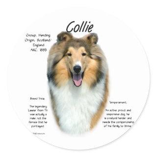 Collie (sable rough) History Design Classic Round Sticker