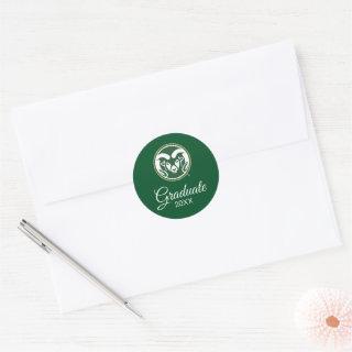 Colorado State University Chevron Pattern Classic Round Sticker