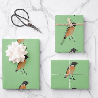Colorful Birds Songbird      Sheets