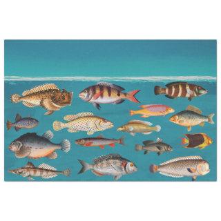 Colorful Fish Under Blue Ocean Water  Tissue Paper