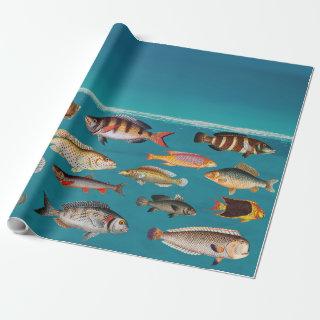 Colorful Fish Under Blue Ocean Water