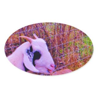 Colorful Goats Oval Sticker
