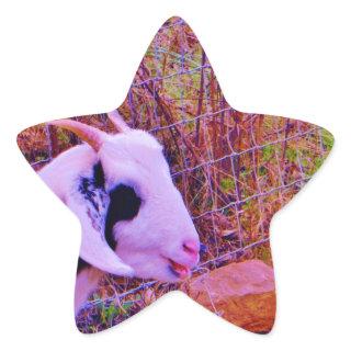 Colorful Goats Star Sticker
