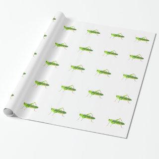 Colorful Green Grasshopper