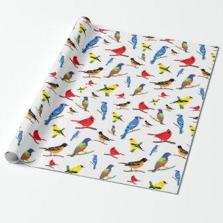 Colorful North American Birds Pattern