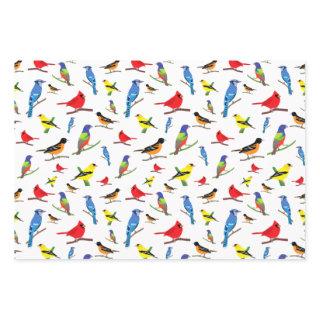 Colorful North American Birds Pattern  Sheets