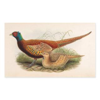 Colorful pheasant rectangular sticker