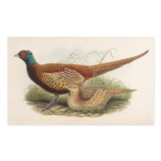 Colorful pheasant rectangular sticker