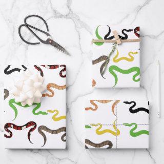 Colorful Snakes Python Reptile Pattern   Sheets