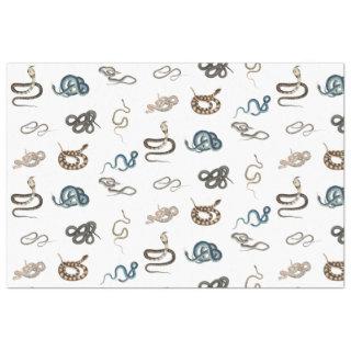 Colorful Snakes Reptile Animal Pattern Tissue Paper