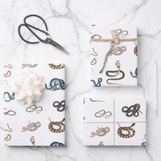 Colorful Snakes Reptile Animal Pattern  Sheets