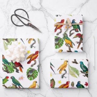 Colorful Tropical Parrots, Leaves & Flowers   Sheets