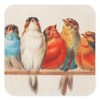 Colorful vintage illustration of five little birds square sticker