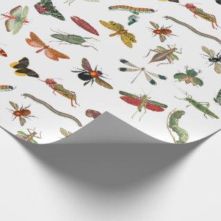 Colorful Vintage Insect Illustration Pattern