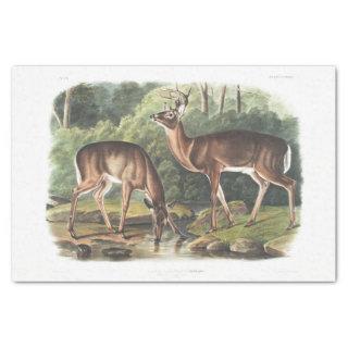 Common or Virginian Deer Decoupage Vintage Tissue Paper