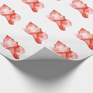 Conch shell sketch - coral, shell pink and white