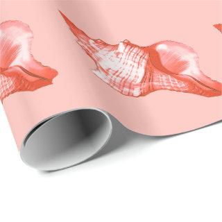 Conch shell sketch - coral, shell pink and white
