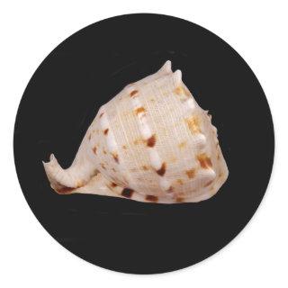 Conch Shell Sticker