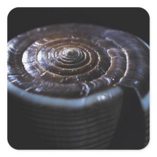 Cone shell square sticker