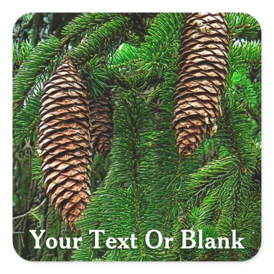 Cones And Needles Square Sticker