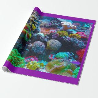 Coral reef colorful ocean