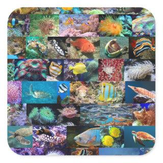 Coral Reef Marine Fish Animals Nature Enthusiasts Square Sticker