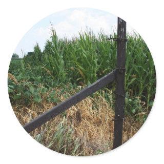 Cornfield Behind The Fence Classic Round Sticker