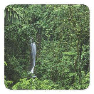 Costa Rica, Arenal Volcano area, Hanging Bridges Square Sticker