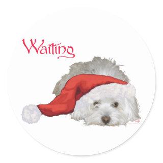 Coton de Tulear - Waiting Classic Round Sticker