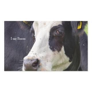 Cow black white blisterhead dairy farm custom  rectangular sticker