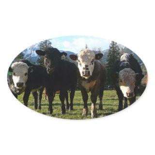 Cow Posse Oval Sticker