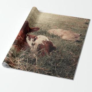 Cow Rustic Country Farmhouse Decoupage