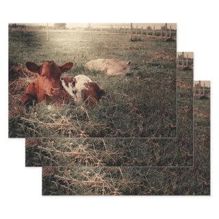 Cow Rustic Country Farmhouse Decoupage  Sheets