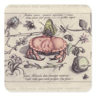 Crab Botanical Insect Flower Illustration Square Sticker