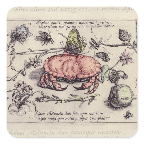Crab Botanical Insect Flower Illustration Square Sticker