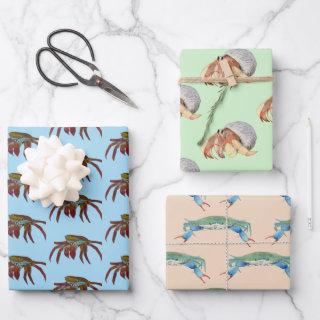 Crabs  Sheets