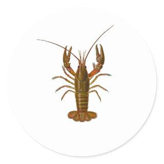 Crawfish Logo Classic Round Sticker