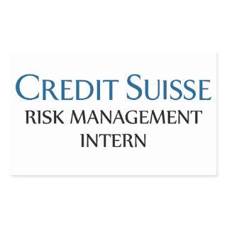 Credit Suisse Risk Management Intern Rectangular Sticker