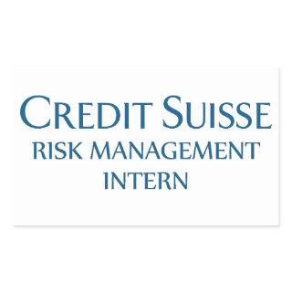 Credit Suisse Risk Management Intern Rectangular Sticker