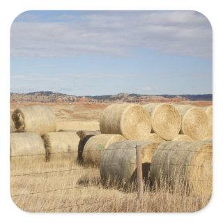 Crook County, Hay Bales Square Sticker